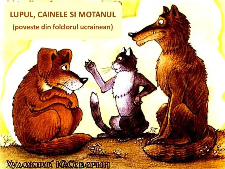 Lupul, Câinele și Motanul – poveste ucraineana