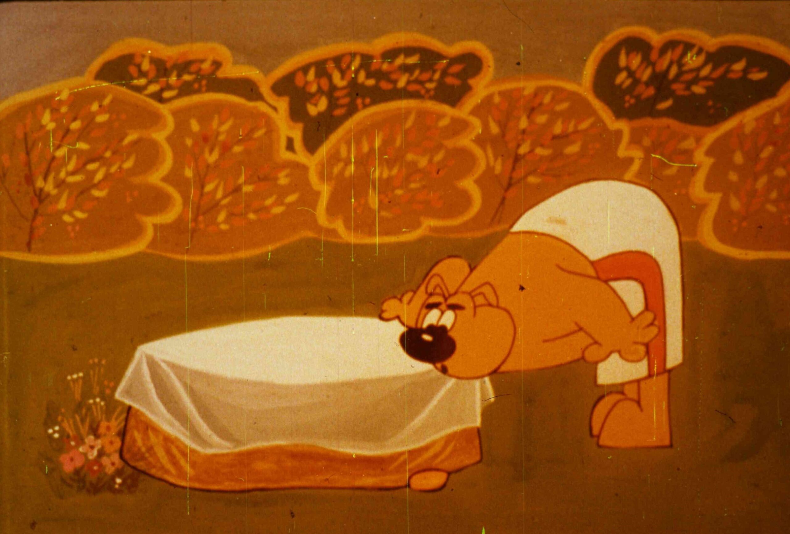 Imagine animată cu un câine care pune un prosop pe o masă în natură, cu fond de arbori autumnali.