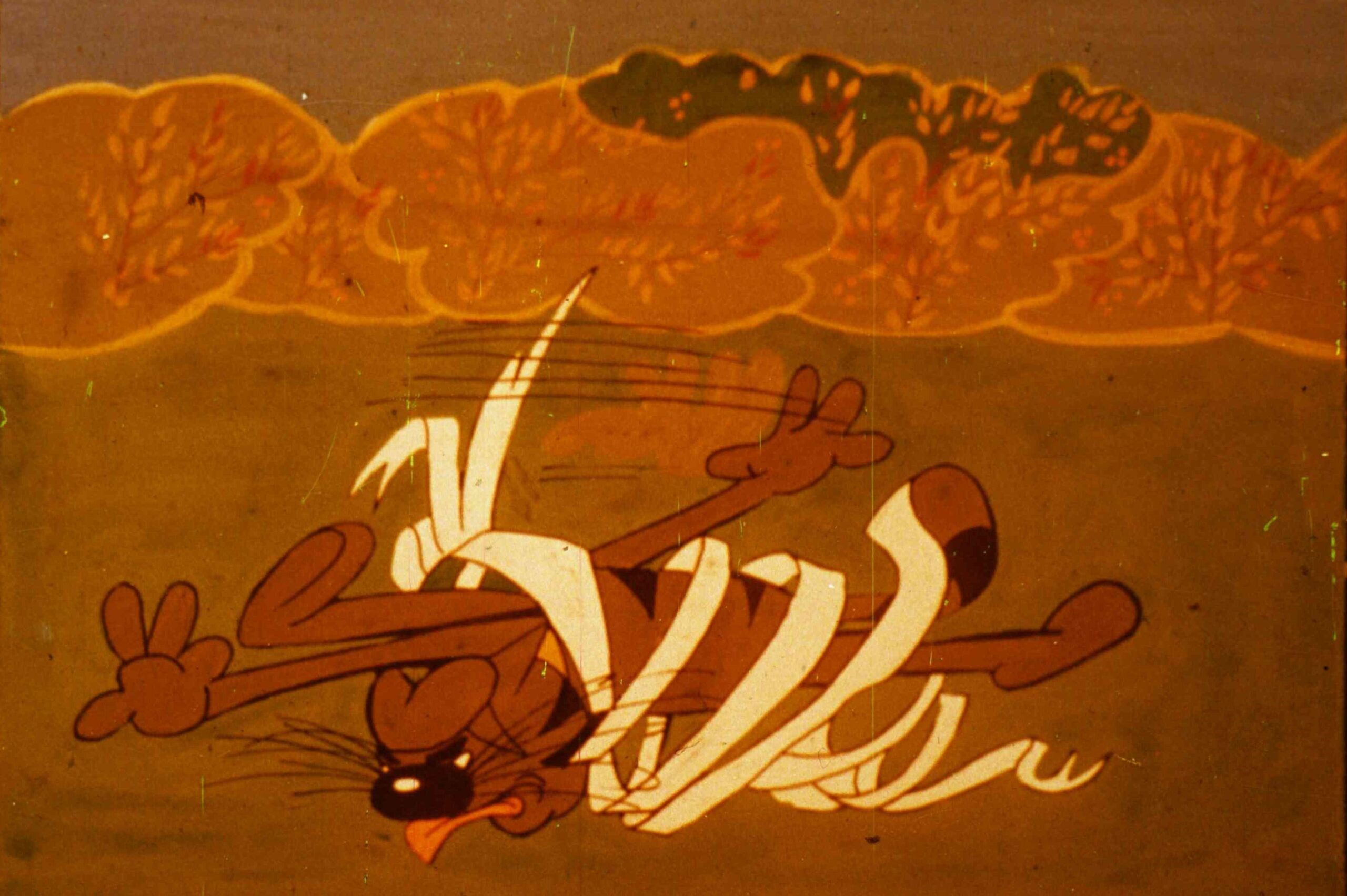 Desen animat cu un motan care fuge, având bandaje fluturând în urma sa.