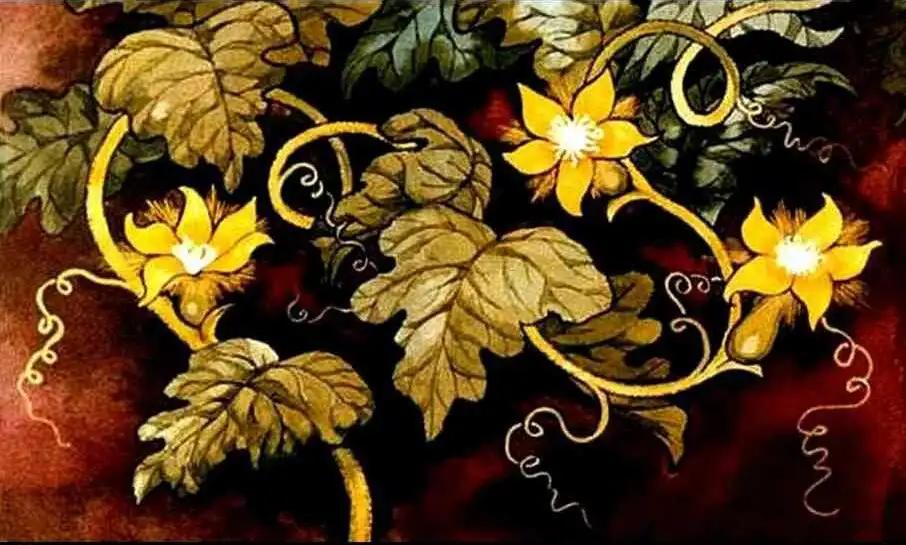 Ilustrație cu plante și flori, text descriptiv despre o sămânță și creșterea acesteia.