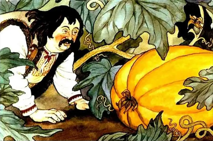 Imagine ilustrativă cu un bărbat surprins în fața unui dovleac mare, care crește între frunzele de viciu.