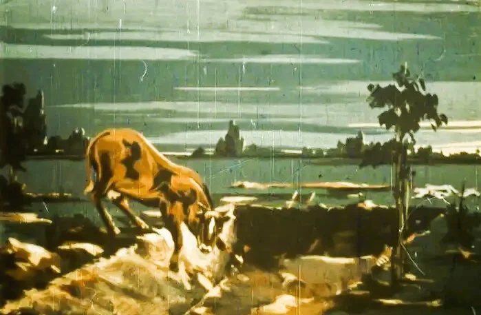 Imagine ilustrativă cu o viță și un peisaj nocturn.