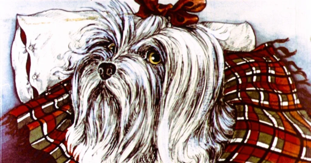 O ilustrație colorată a unui câine cu blană lungă, care poartă o fundiță, așezat pe o pătură cu un model în carouri.