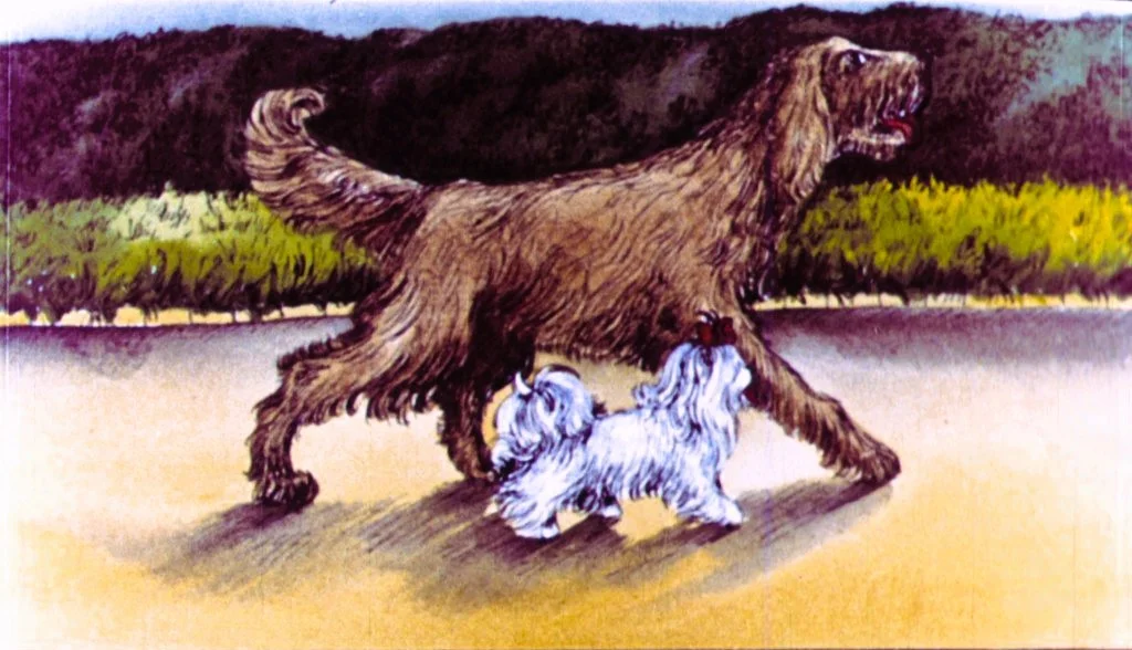 Ilustrație cu un câine mare maro și un câine mic alb care merg pe un drum, înconjurați de vegetație.