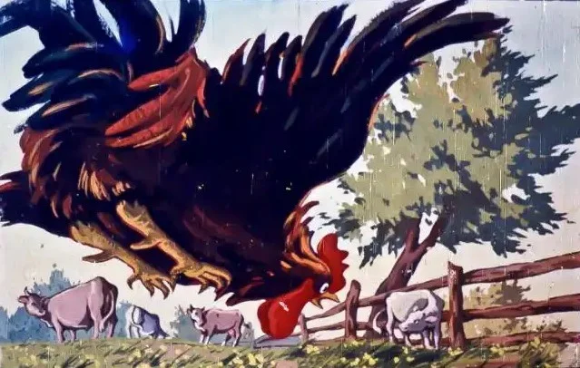 Ilustrație cu un cocoș mare și vaci într-un peisaj pastoral, cu text explicativ despre cocoș.