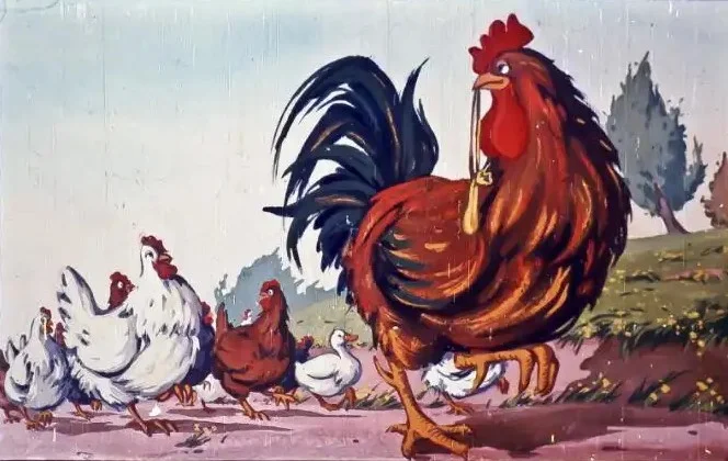 Imagine cu un cocos care mergea cu păsările pe drum spre casă, evidențiind o scenă animată de viață de fermă.