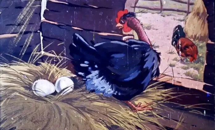 Imagine cu o găină neagră lângă două ouă pe un cuib, în fundal fiind alte păsări.