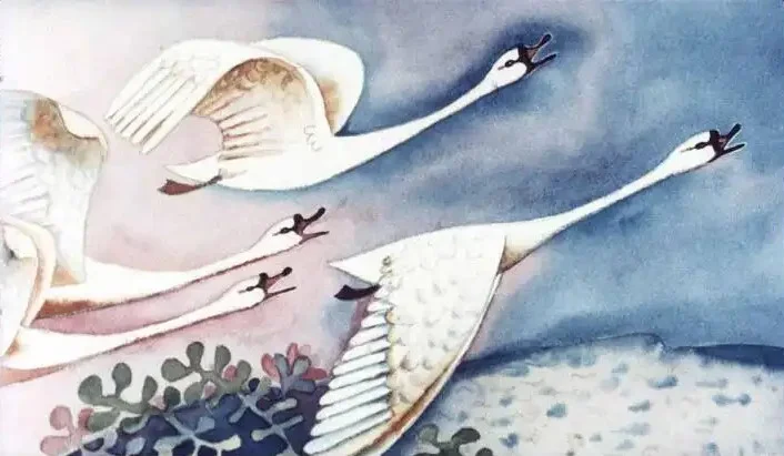 Ilustrație cu lebede zburând pe un fundal de cer în nuanțe de albastru și roz.