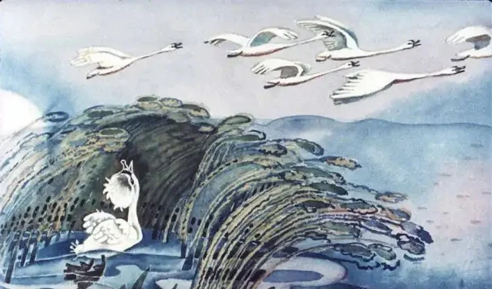 O ilustrație cu o lebădă albă în prim-plan și mai multe lebede zburătoare pe cer, înconjurate de copaci și peisaje acvatice.