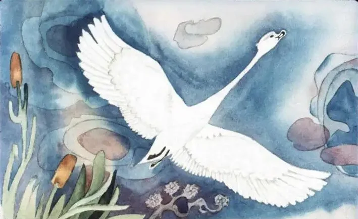 Ilustrație cu un cisne alb zburând pe un fundal de apă colorată, înconjurat de plante acvatice.