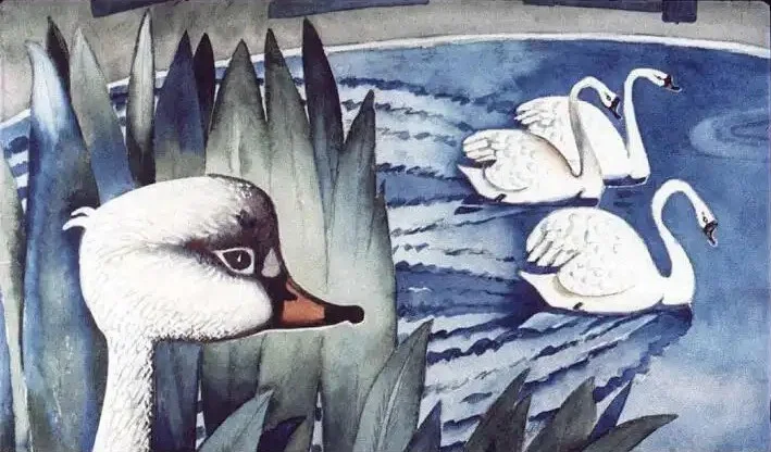 Ilustrație cu o lebădă în prim-plan și alte trei lebede înotând în fundal, înconjurate de plante acvatice.