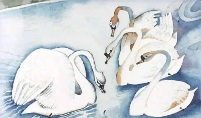 Ilustrație cu patru lebede nadind într-un lac.