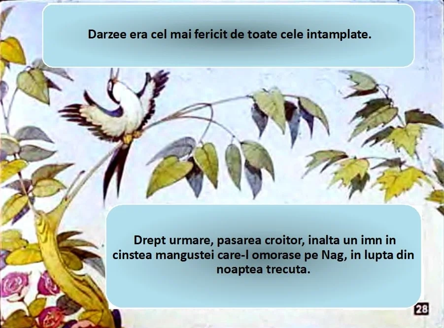Imagine cu un fundal floral și două texte albastre, primul menționând fericirea lui Darzee, iar al doilea despre un imn dedicat mangustei.