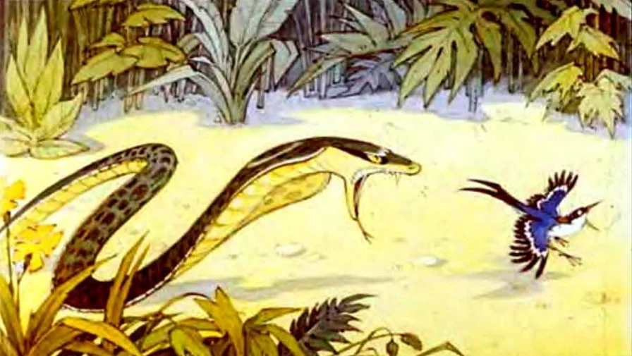 Ilustrație cu un șarpe și o pasăre, reprezentând o scenă din povestea lui Rikki-Tikki-Tavi.