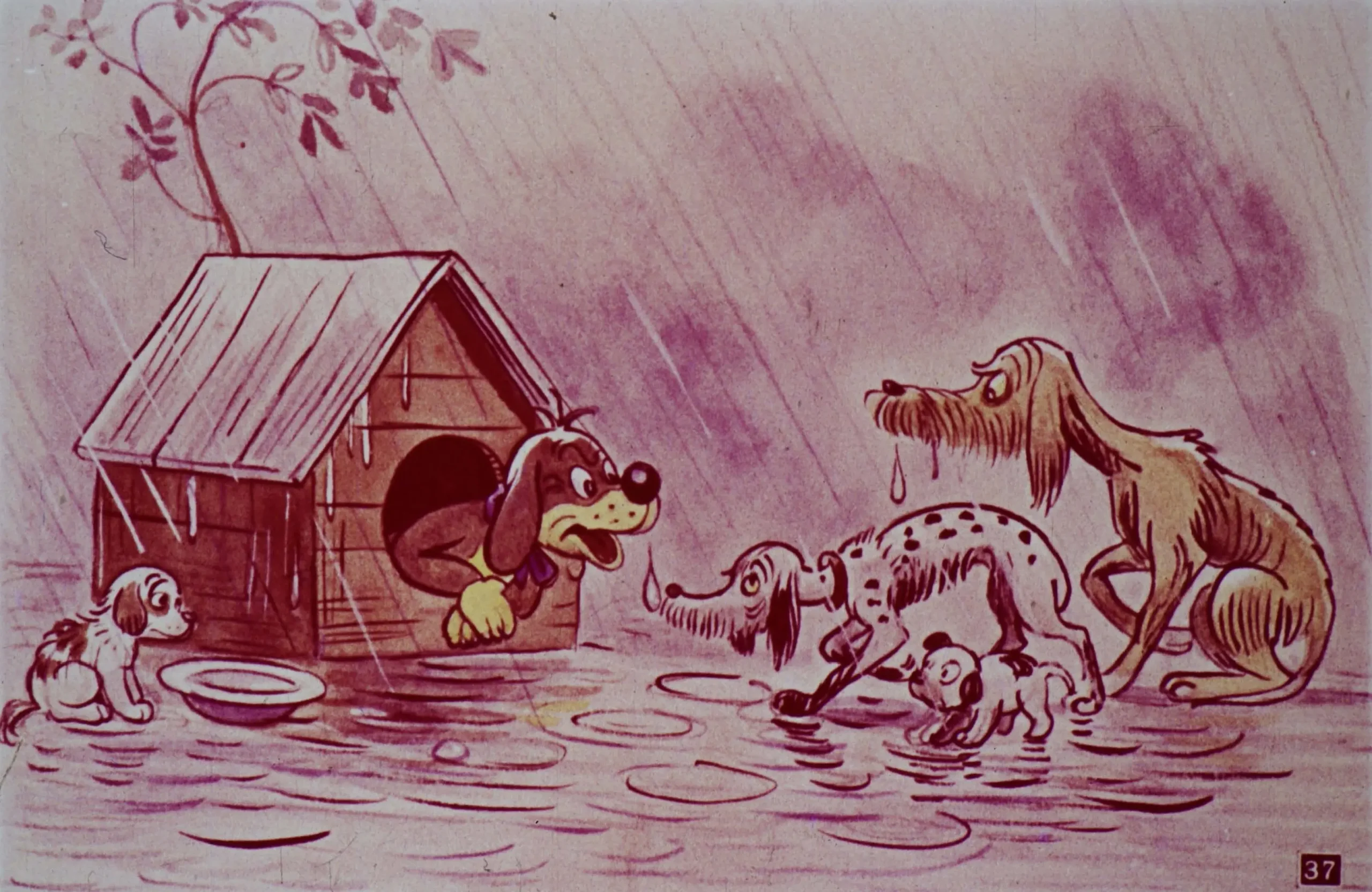 Ilustrație colorată cu un câine în cușcă, uitându-se la alți câini care se află în ploaie.