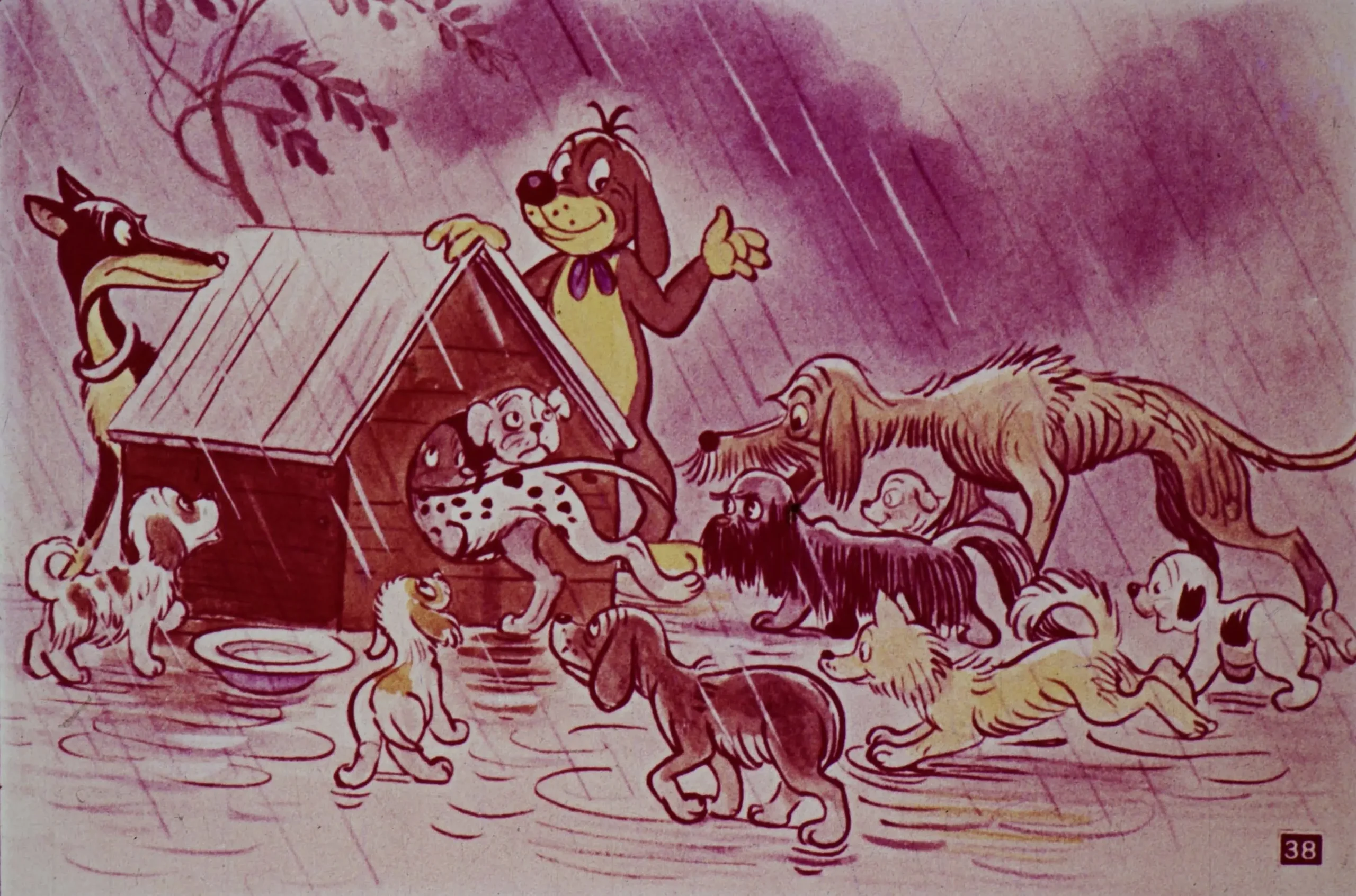 Ilustrație cu mai multe câini adunați în jurul unei căsuțe în ploaie.