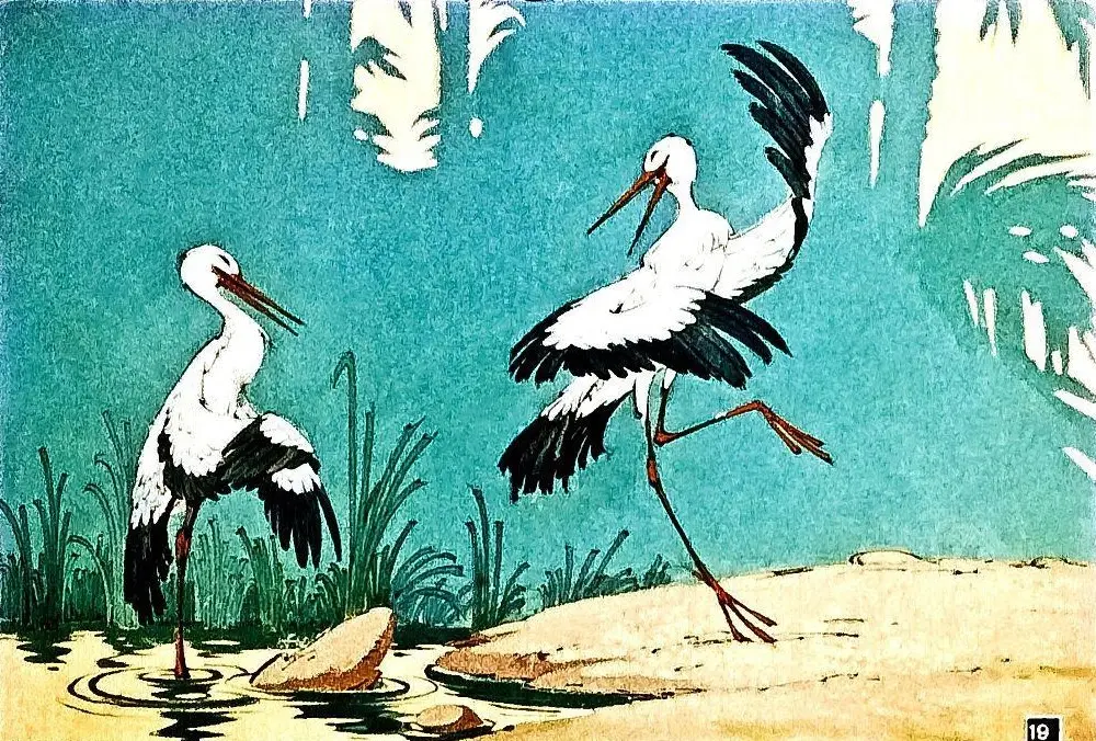 Ilustrație cu stârci dansând pe malul unei ape.