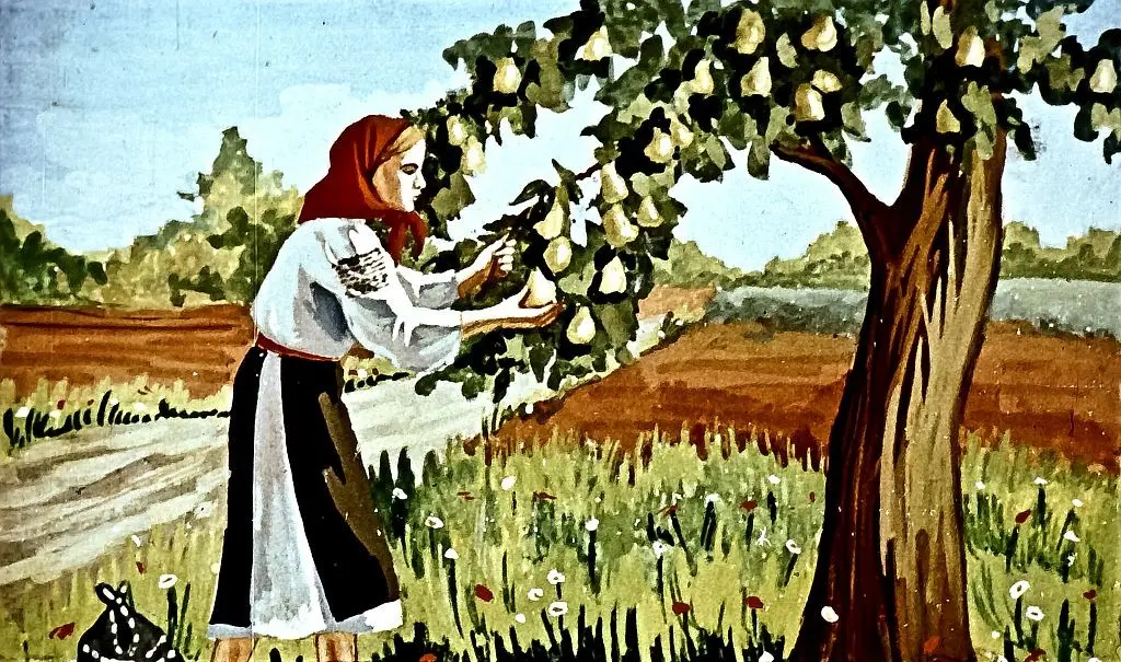 O femeie îmbrăcată în costum popular culege pere de la un pom într-un peisaj rural.