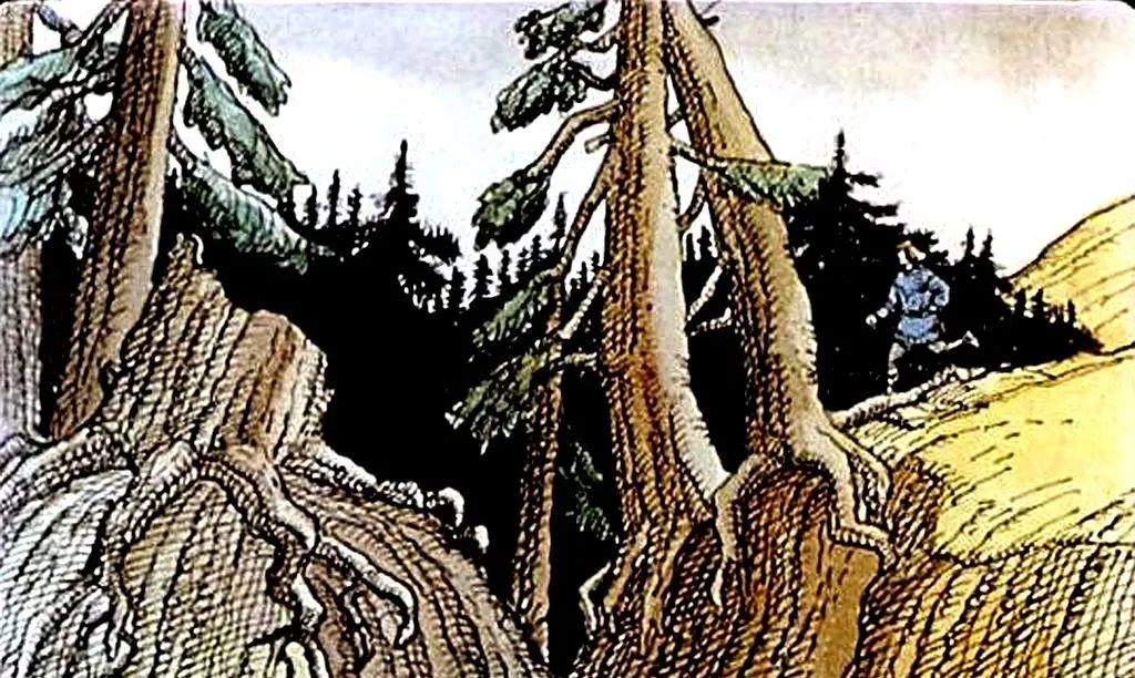 Imagine care prezintă un peisaj de pădure cu copaci și o persoană alergând pe un teren asociat.