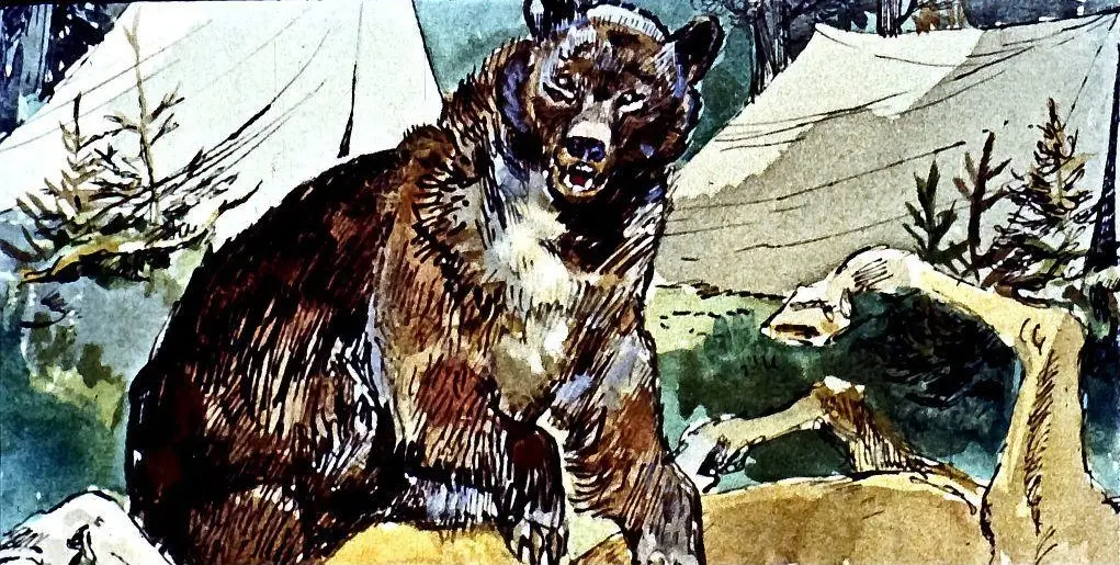 Ilustrație cu un urs stând pe o stâncă, înconjurat de natura, cu corturi în fundal.