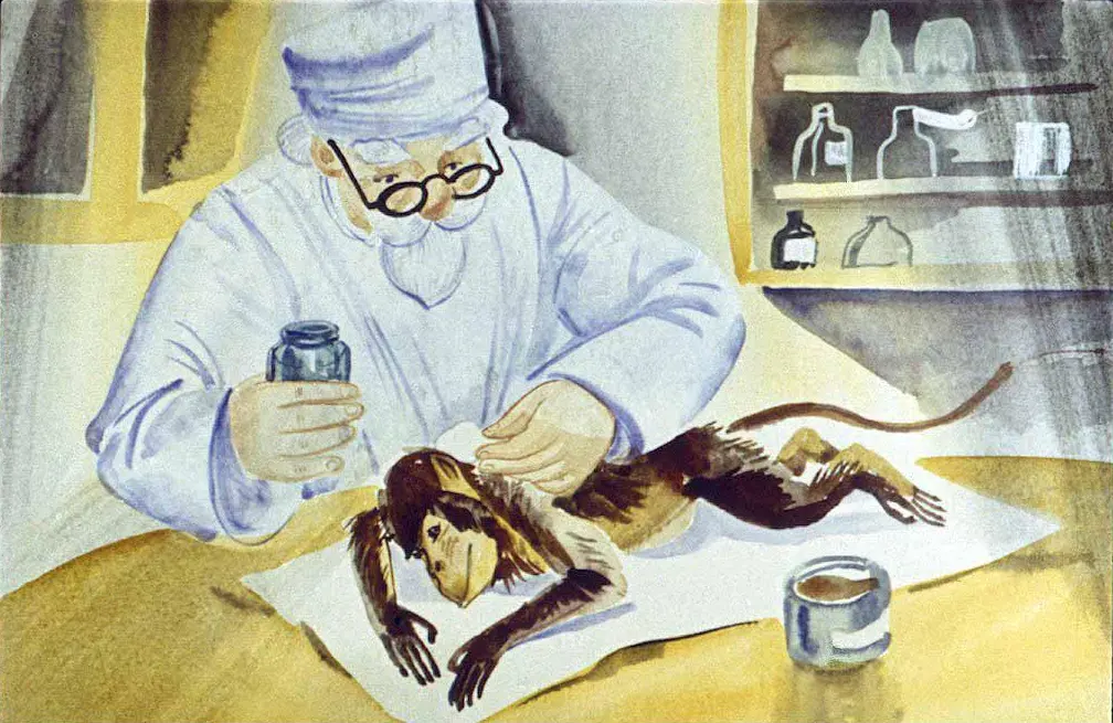 O ilustrație care prezintă un om în halat de laborator, purtând ochelari, care lucrează la o maimuță așezată pe o masă. În jurul lui se află diverse sticle și un recipient cu un lichid.