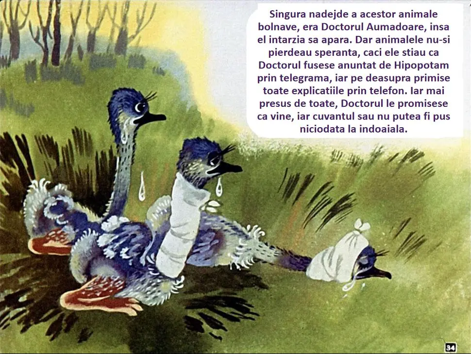 Ilustrație cu trei păsări bolnave așteptând ajutorul unui doctor, cu bandaje pe cap și corp, într-un peisaj natural.