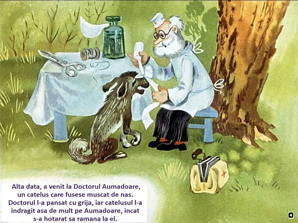 Ilustratie cu un doctor in lab coat tratand un catelus care a fost muscat de nas, in natura.