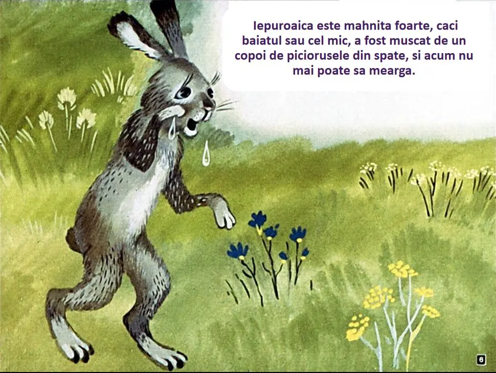 Imagine cu un iepure trist care plange in natura, cu un text care descrie starea iepurelui.