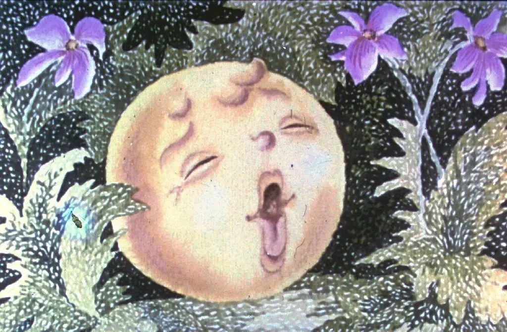 Ilustrație artistică cu o față umană pe o lună care face o expresie facială, înconjurată de flori și frunze.