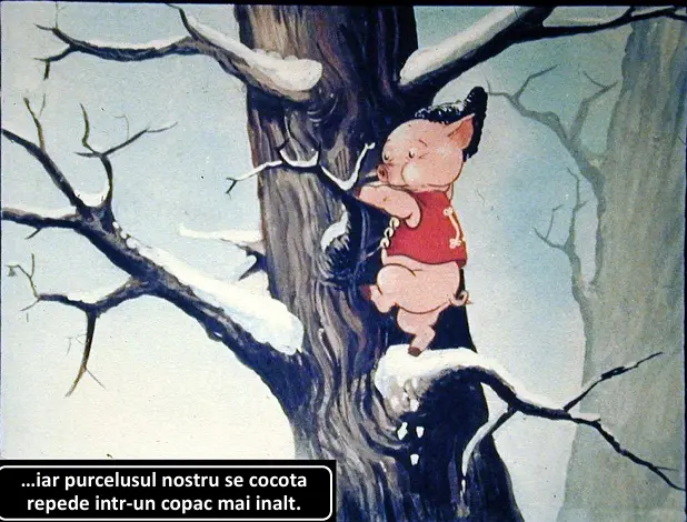 Un purcelus urca intr-un copac in vremea iernii.