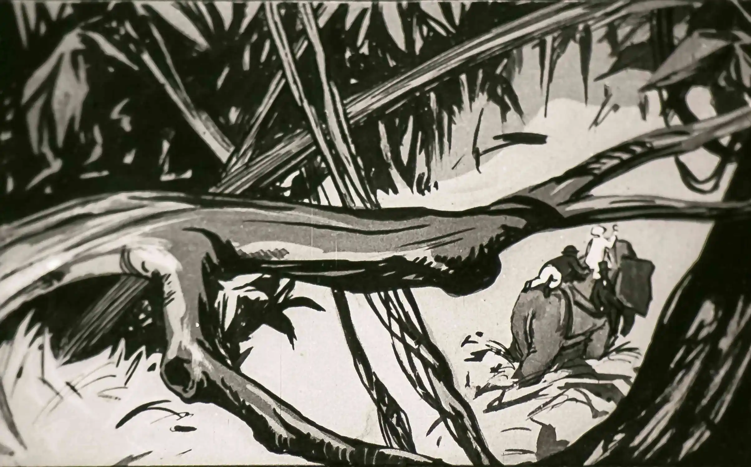 Ilustrație cu un peisaj exotic și două personaje, unul dintre ele fiind pe un elefant, într-o pădure densă.