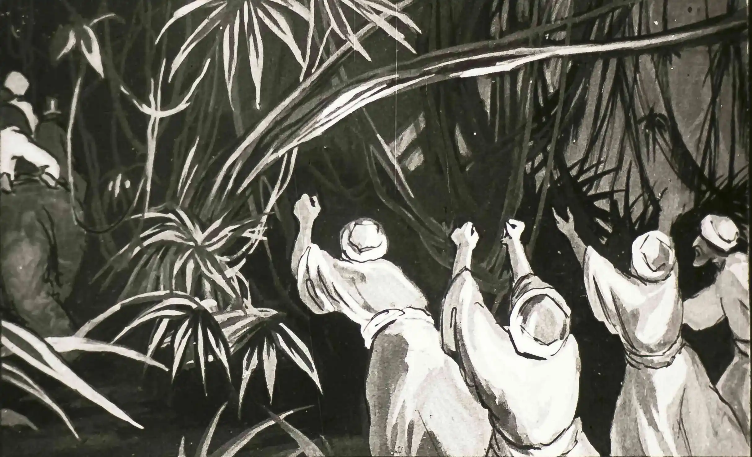 Imagine în care mai multe persoane se luptă cu natura, exprimând o situație dificilă.