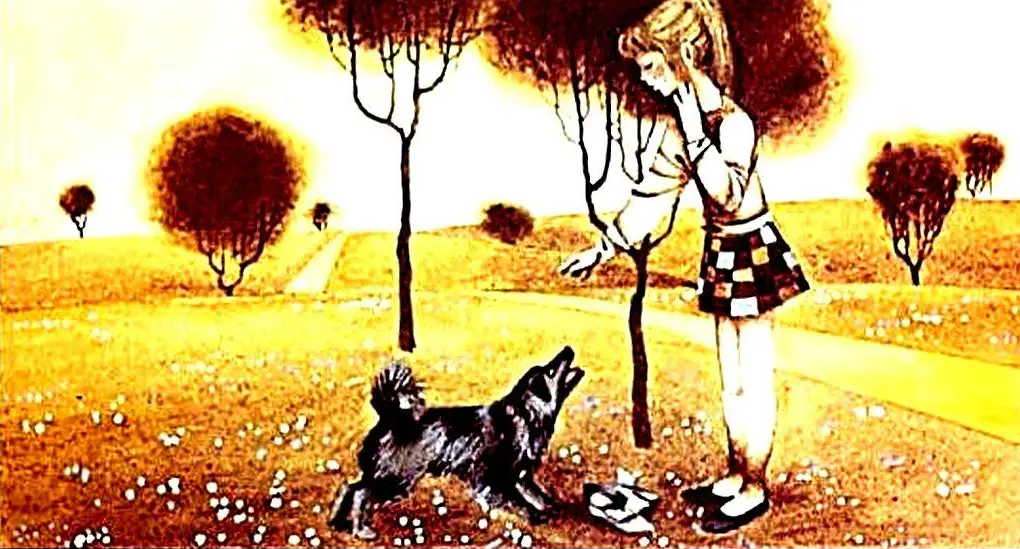 Ilustrație representând o fetiță care interacționează cu un câine, însoțită de un text care descrie călătoria lui Dorothy.