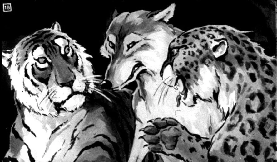 Ilustrație cu un lup, un tigru și un jaguar, reprezentând o discuție despre taina unui oraș și un remediu pentru o fată tristă.