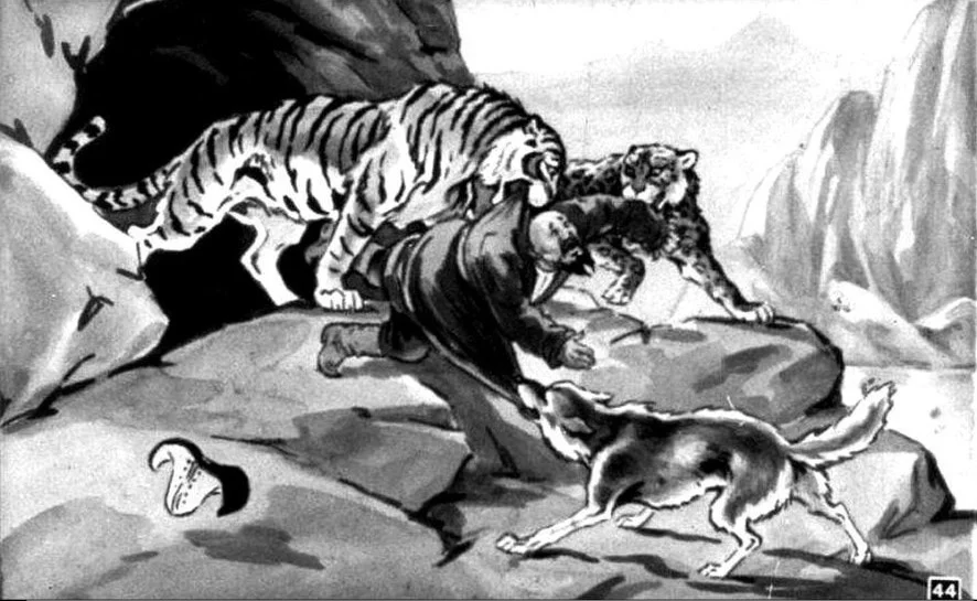Ilustrație cu un bărbat atacat de tigri și un câine în fundal, sugerând o situație dramatică.