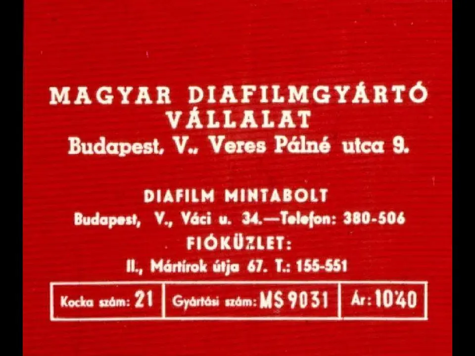 Textul pe fundal roșu prezintă informații despre o companie din Budapesta, inclusiv adresa și detaliile de contact.
