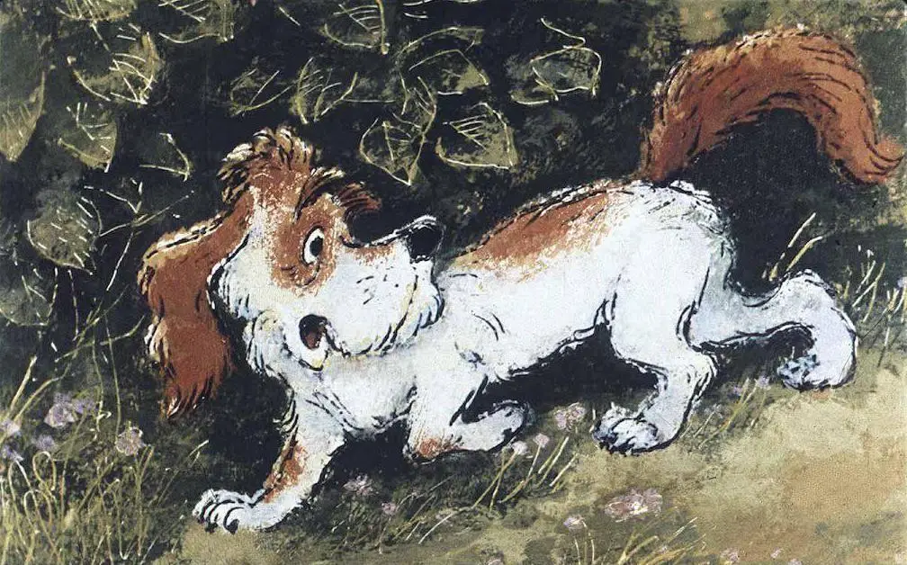 Ilustrație a unui câine cu blană albă și maronie, explorând un mediu natural, adăpostit între plante.